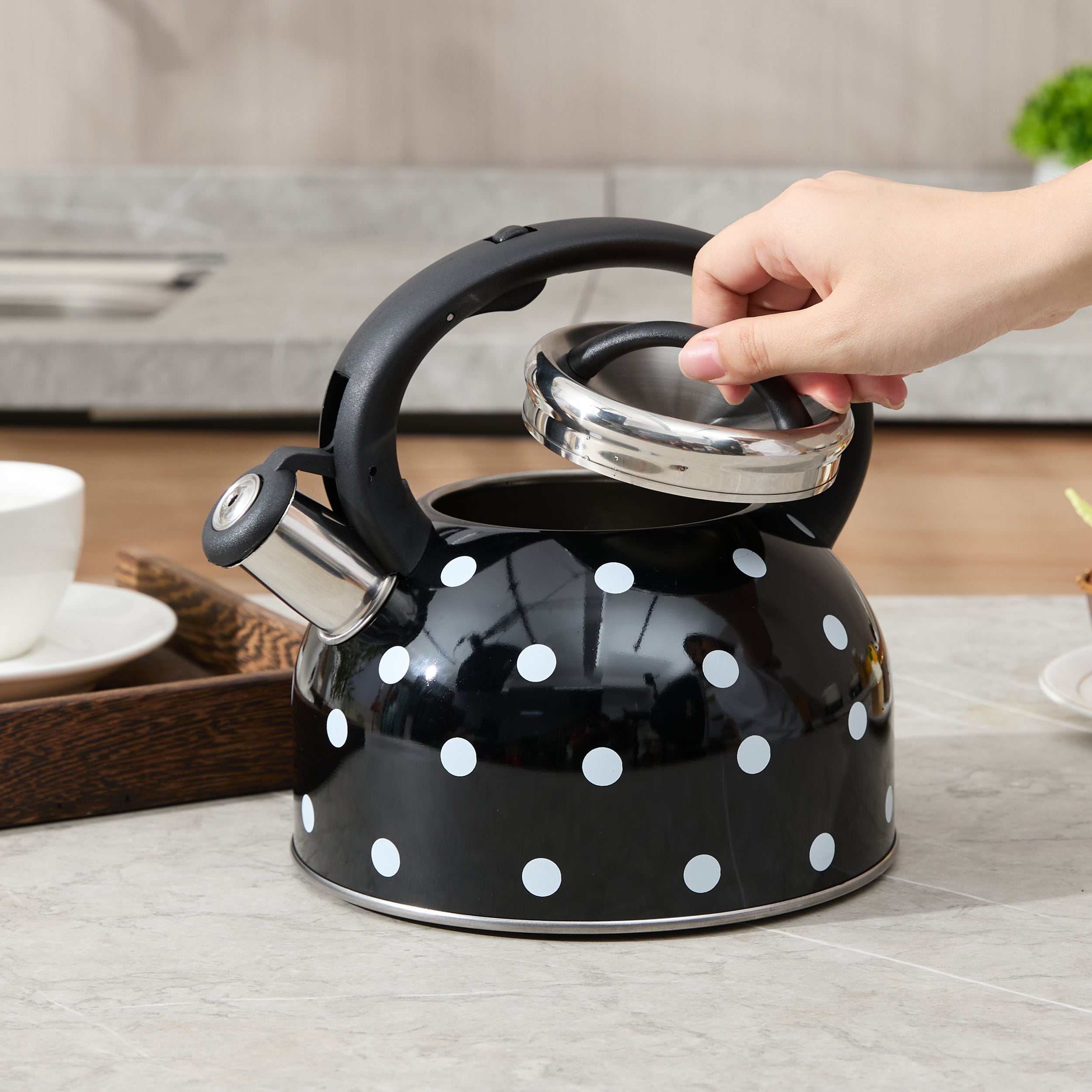 A clear image of the stainless steel whistling tea kettle with its stainless steel lid and nylon lid handle 